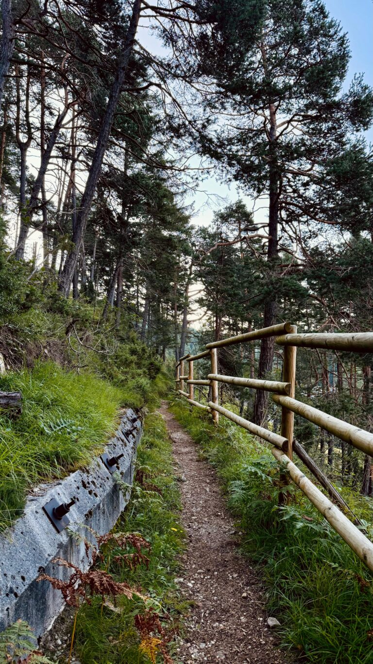 Path in the woods of the Hotel Boite