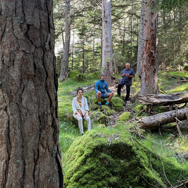 Three people sitting on mossy rocks among the trees, engaged in meditation and listening in the forest near Hotel Boite.